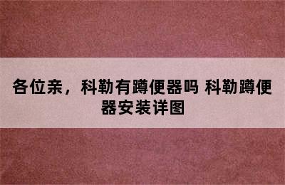 各位亲，科勒有蹲便器吗 科勒蹲便器安装详图